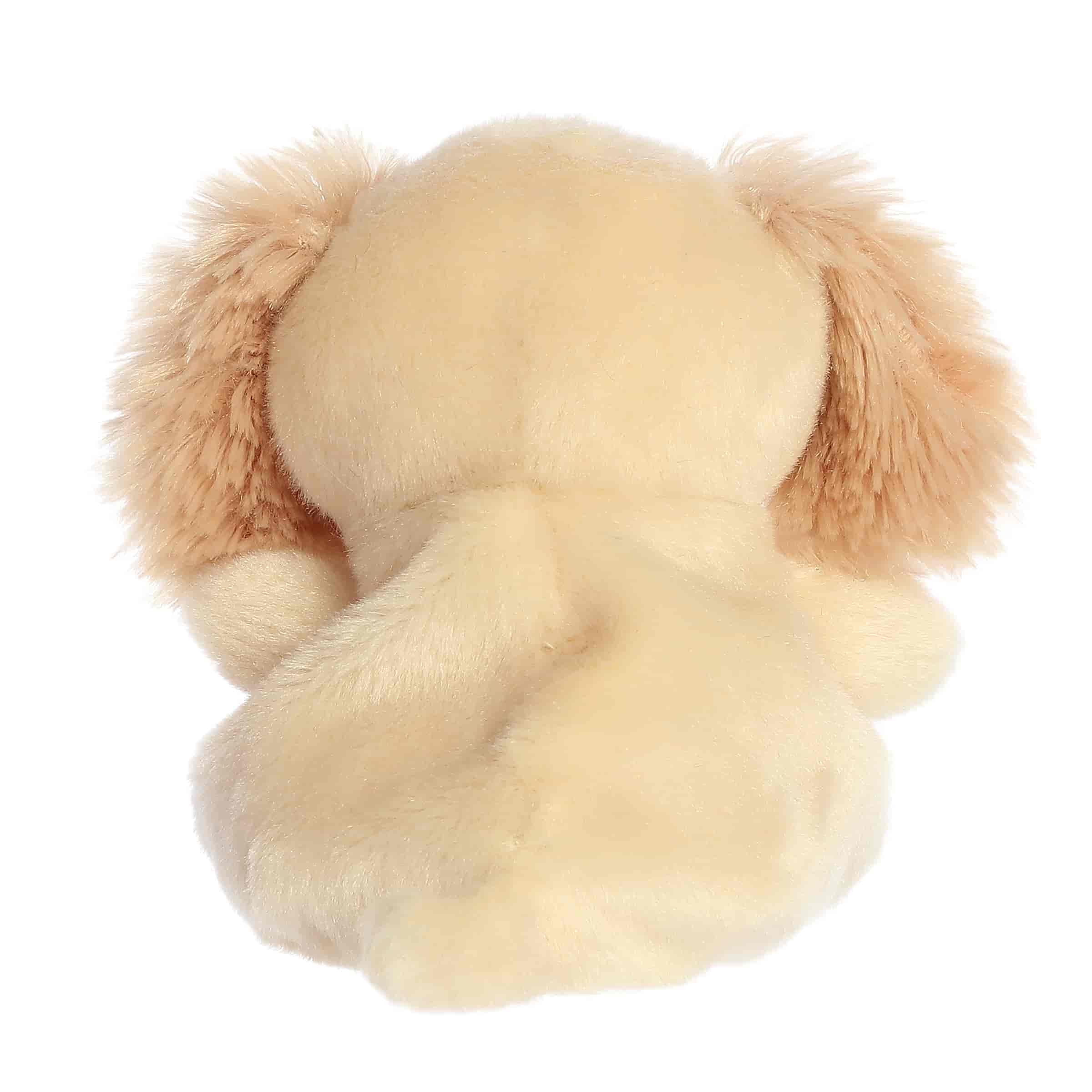 Daniel Spaniel - Image 4