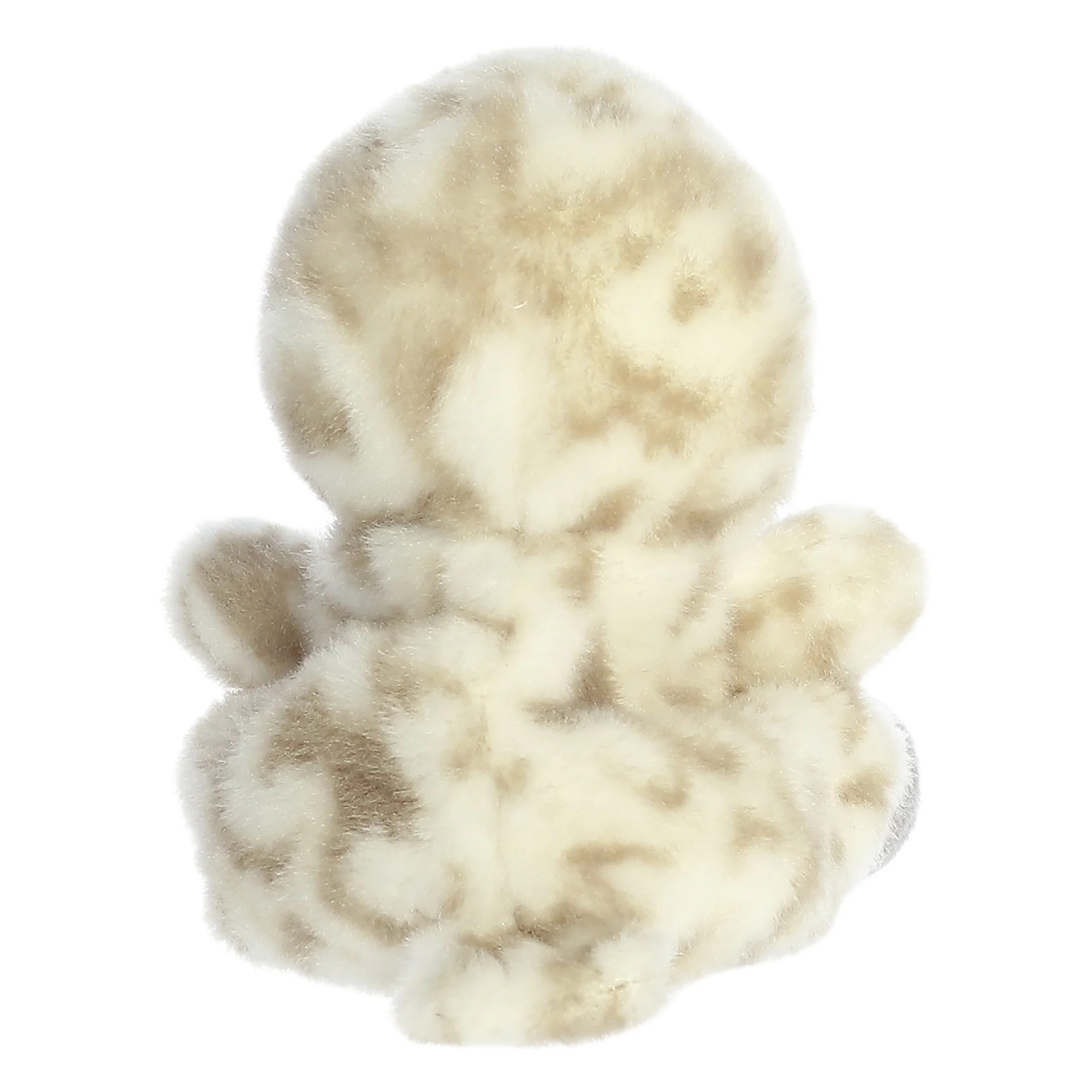 Sasha Owl™ - Image 4