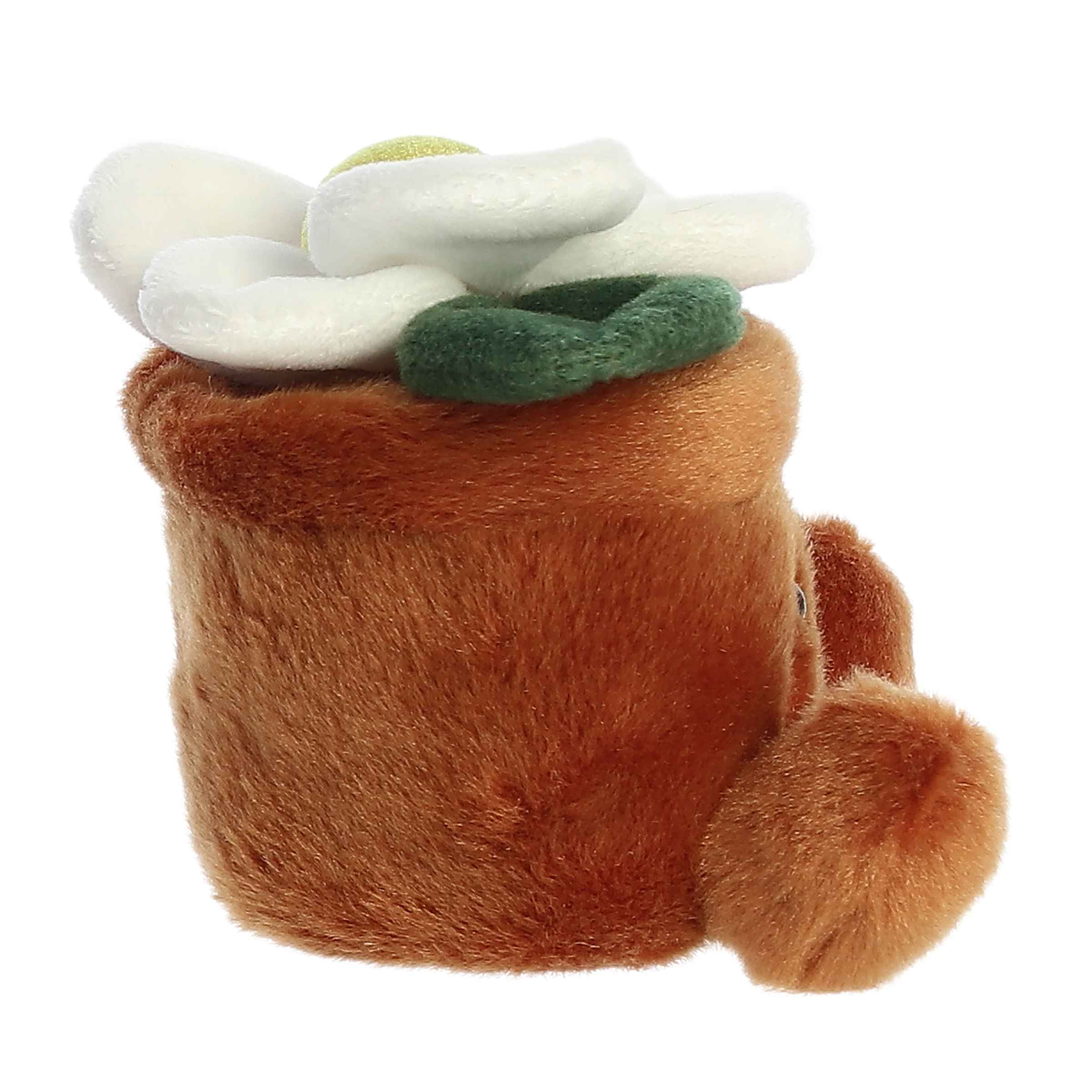 Junie Daisy™ - Image 3