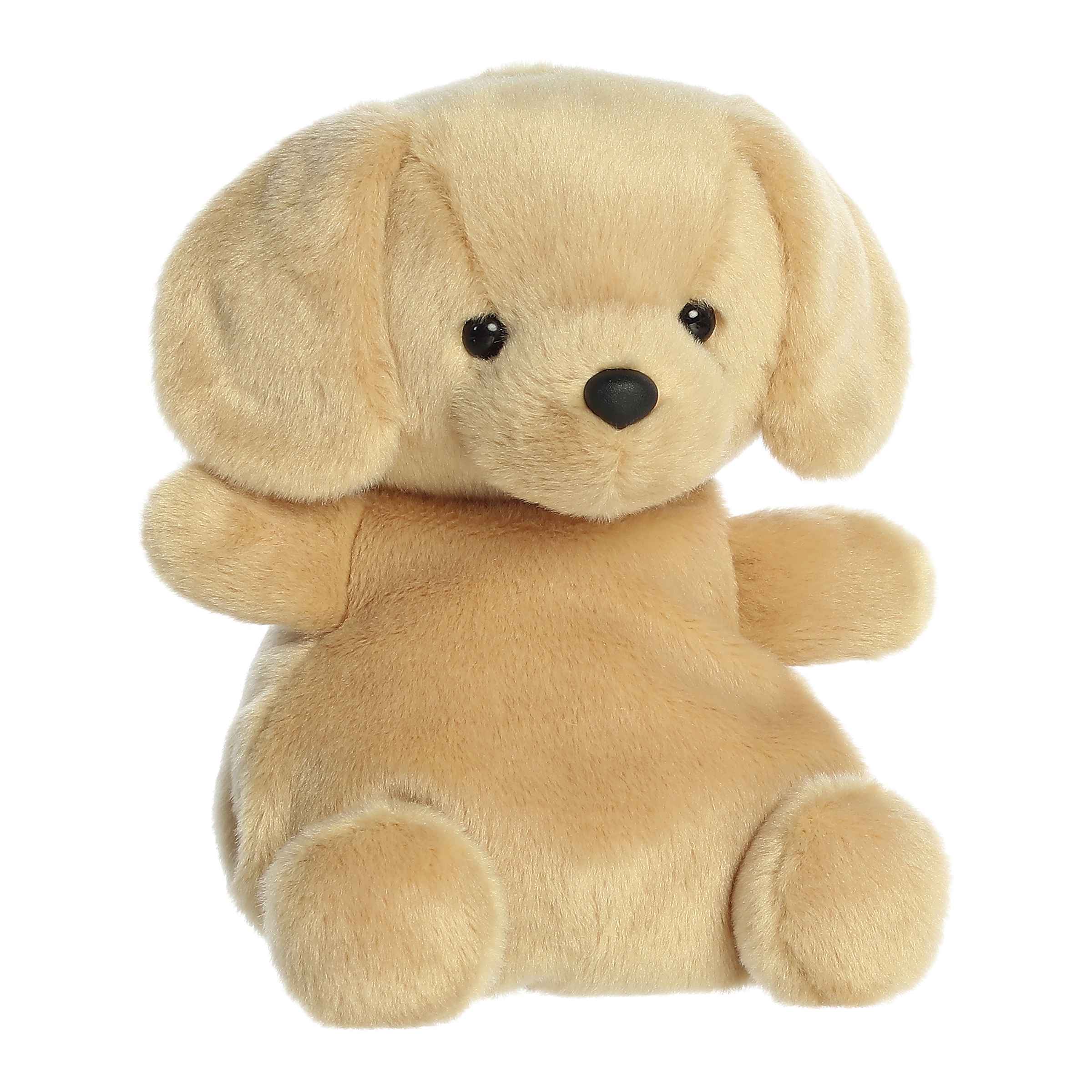 8" Sunny Lab™ - Image 2