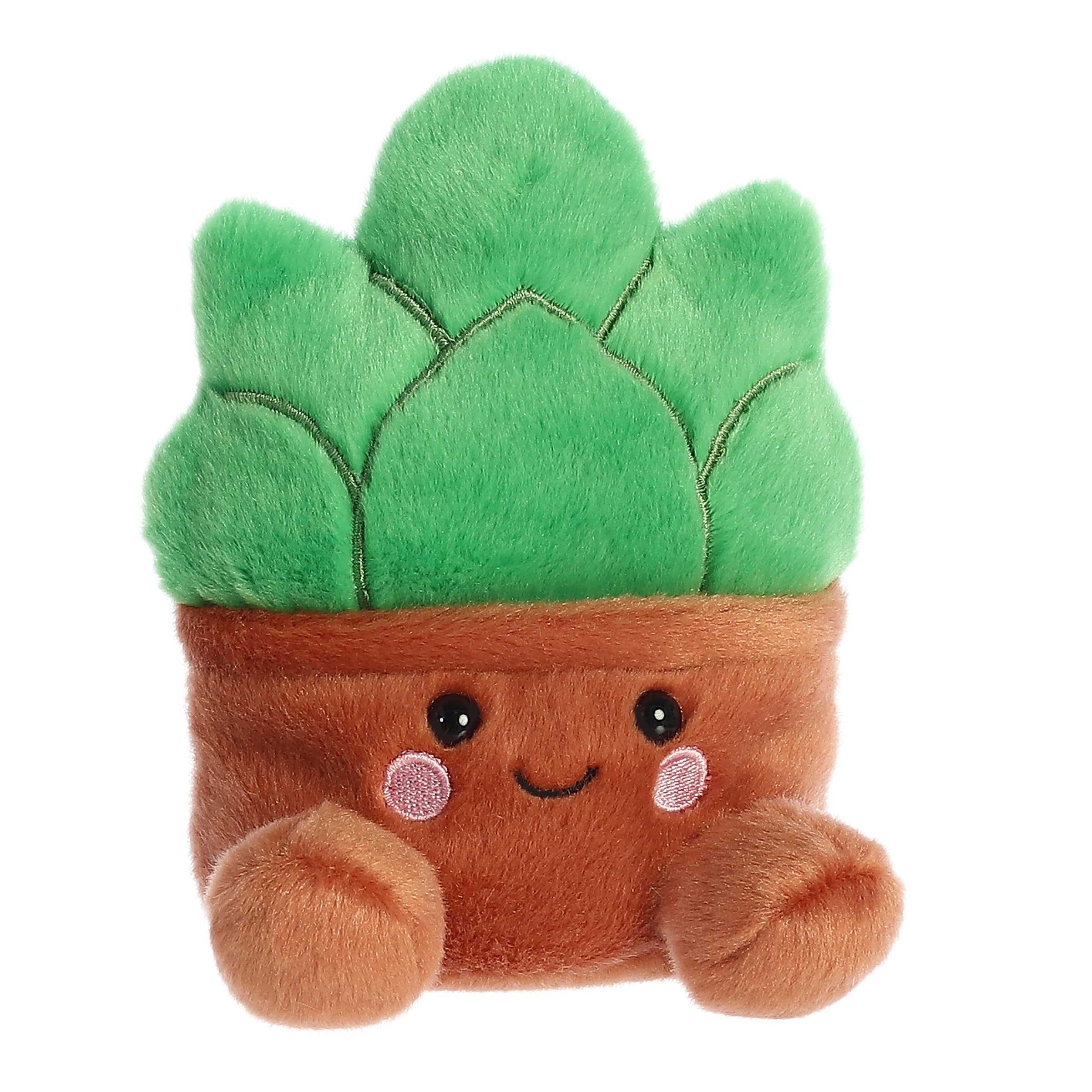 Gigi Succulent™ - Image 2