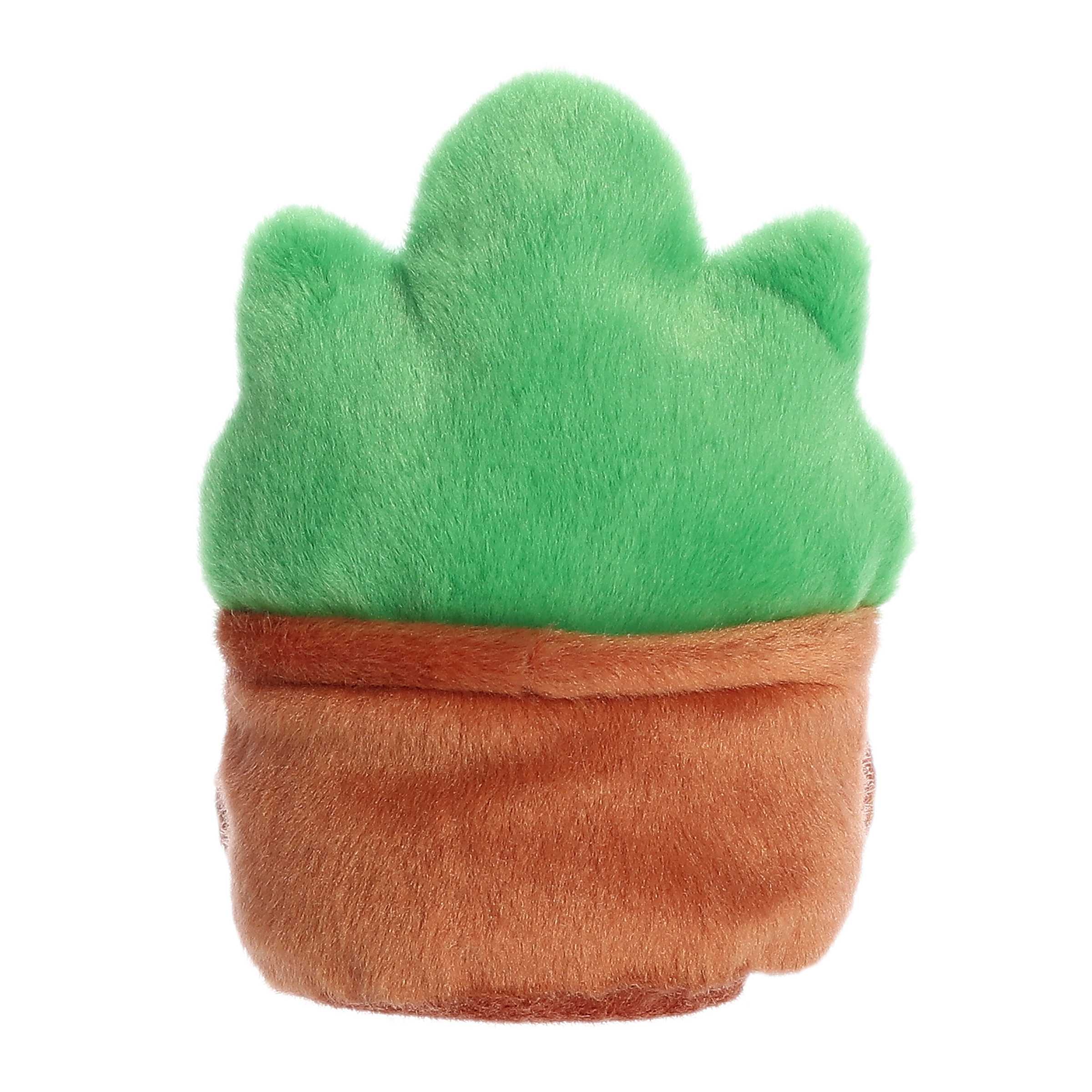 Gigi Succulent™ - Image 4